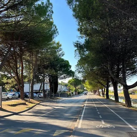 Pine Tree Holiday House Koper